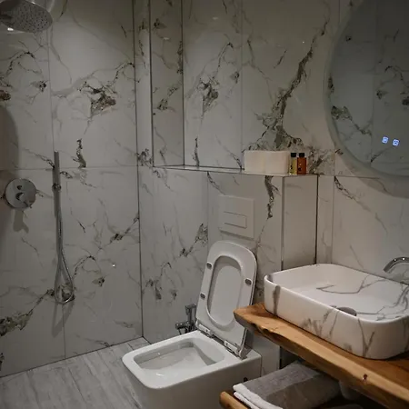 Hotel Restaurant Savoja 3*